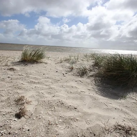 Alte Schule - Garni 3* Schillig