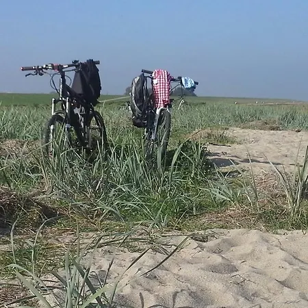 Hotel Alte Schule - Garni 3*